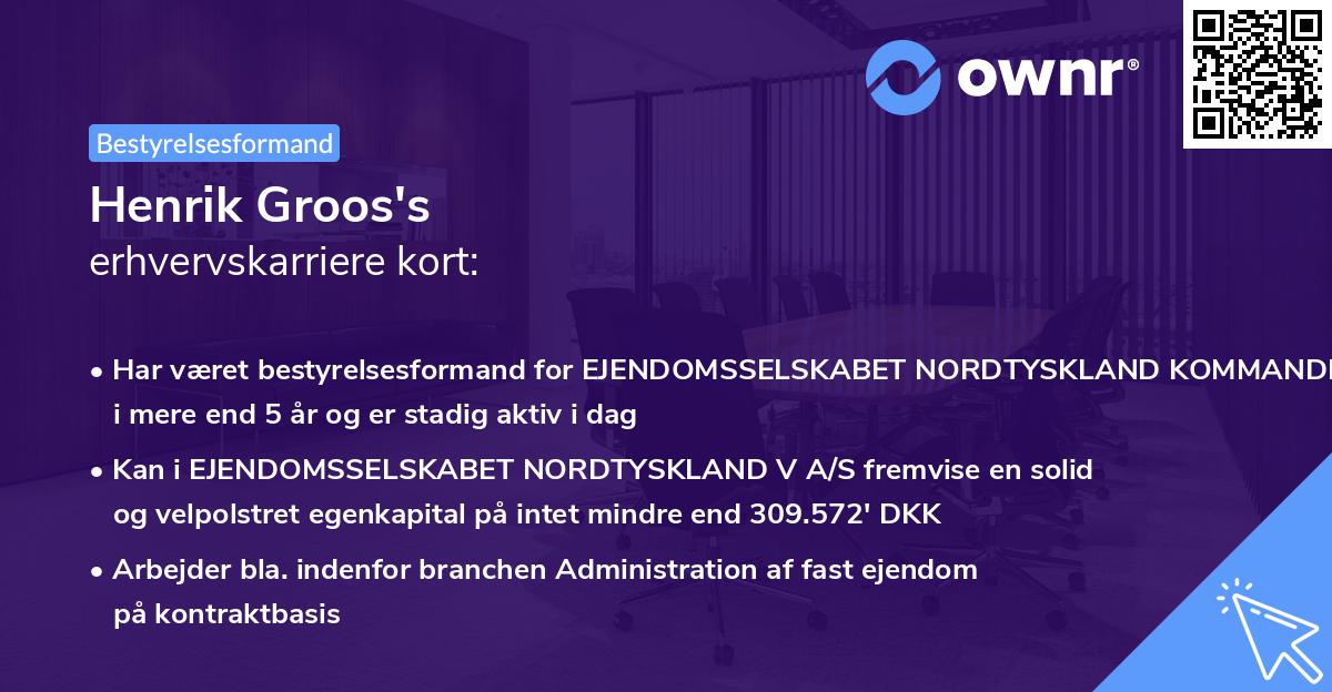 Henrik Groos's erhvervskarriere kort