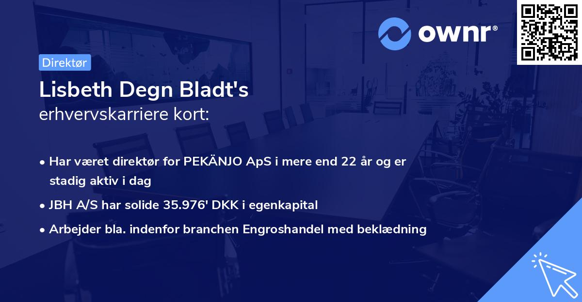 Lisbeth Degn Bladt's erhvervskarriere kort