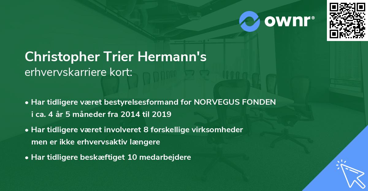 Christopher Trier Hermann's erhvervskarriere kort