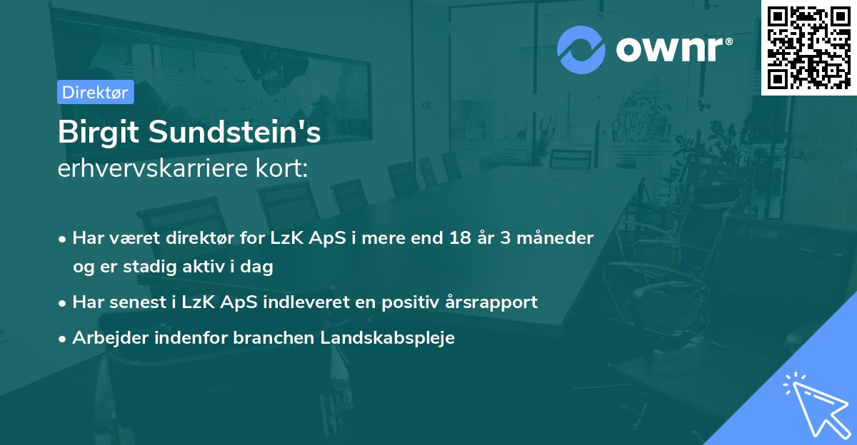 Birgit Sundstein's erhvervskarriere kort