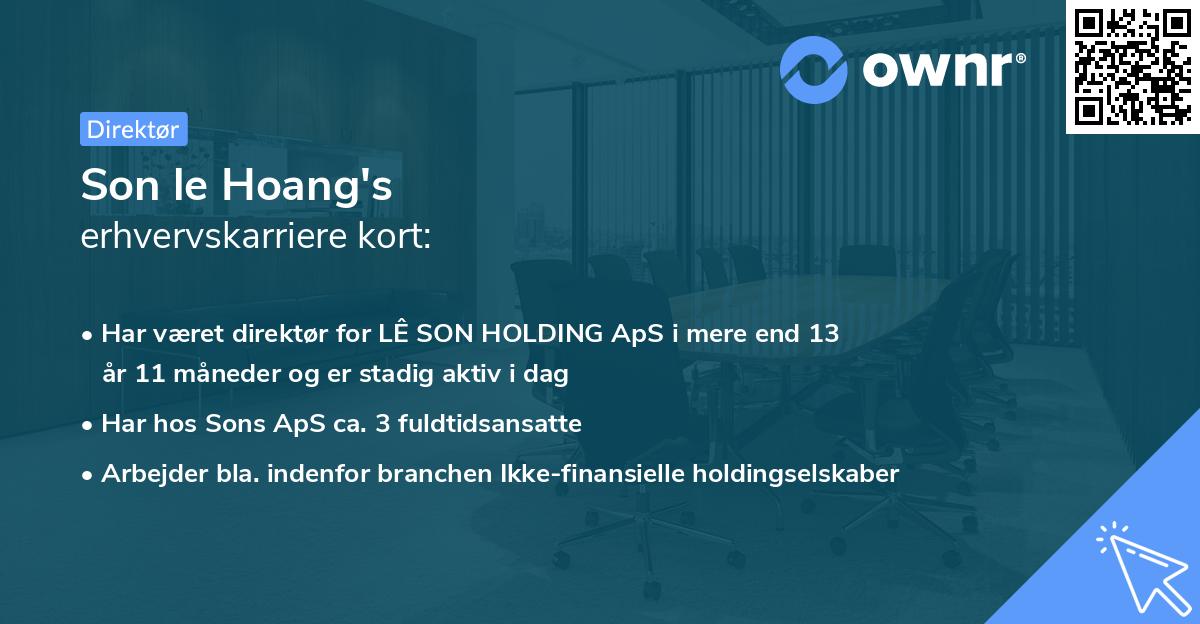 Son le Hoang's erhvervskarriere kort