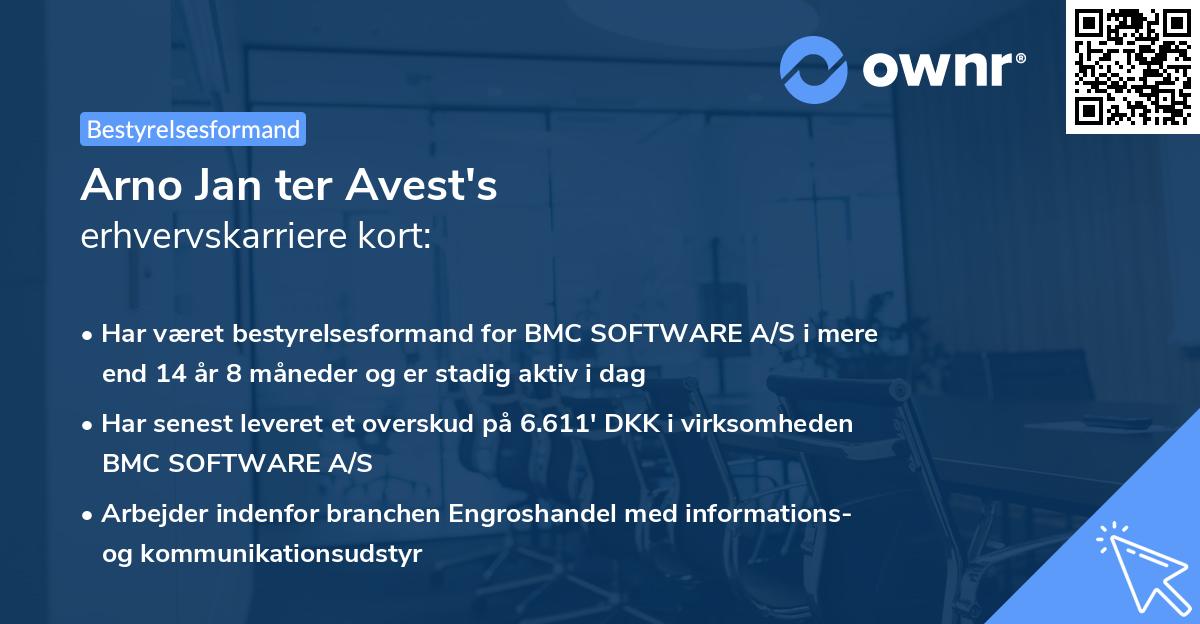 Arno Jan ter Avest's erhvervskarriere kort