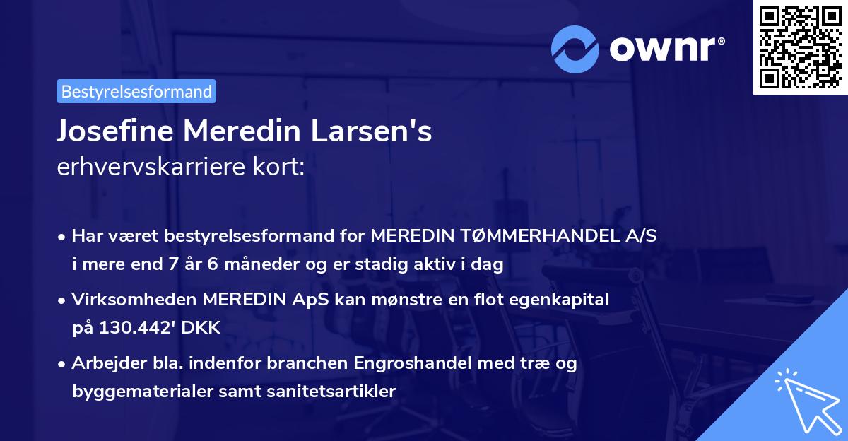 Josefine Meredin Larsen's erhvervskarriere kort