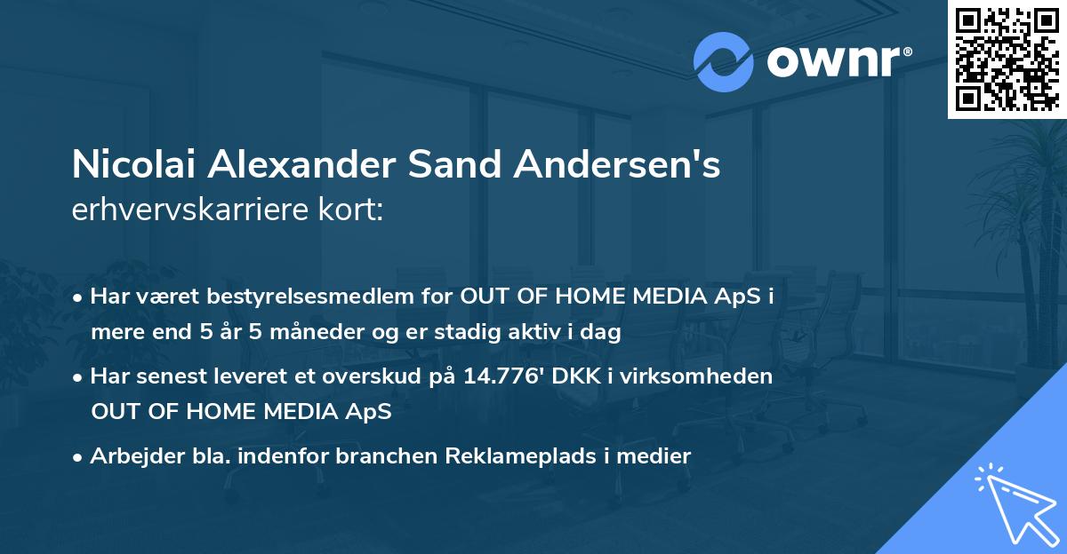 Nicolai Alexander Sand Andersen's erhvervskarriere kort