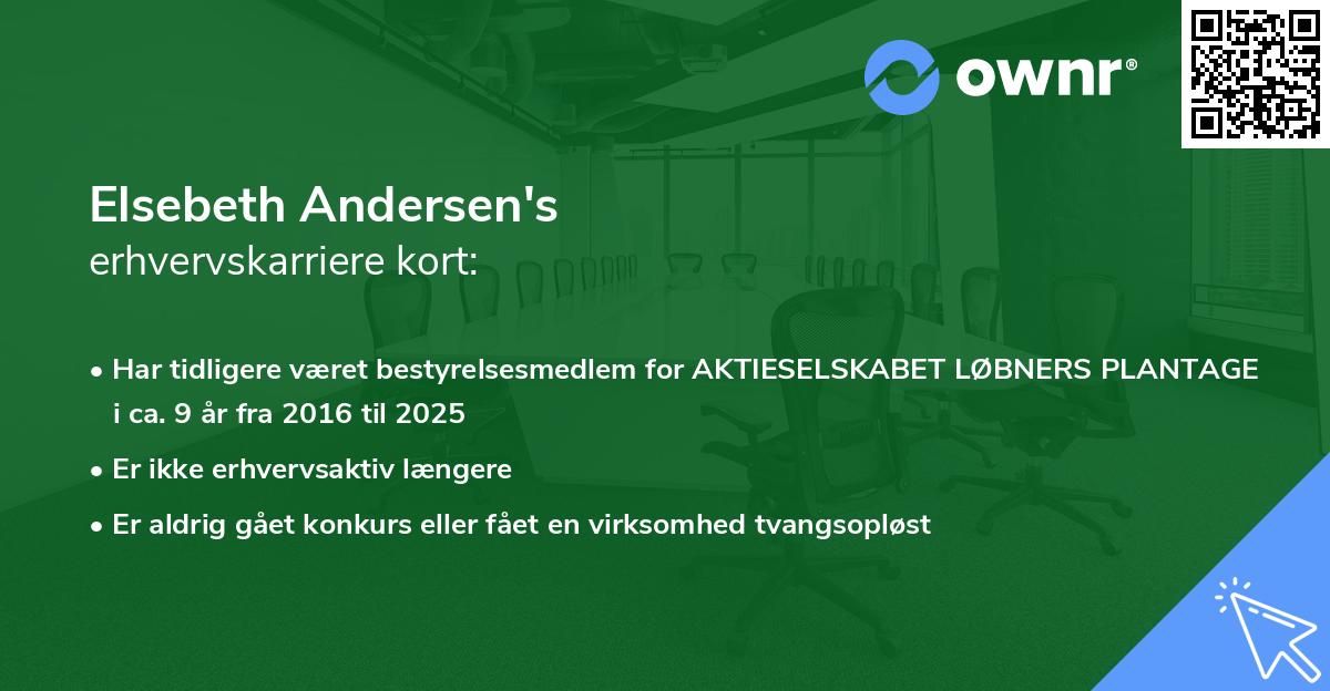 Elsebeth Andersen's erhvervskarriere kort