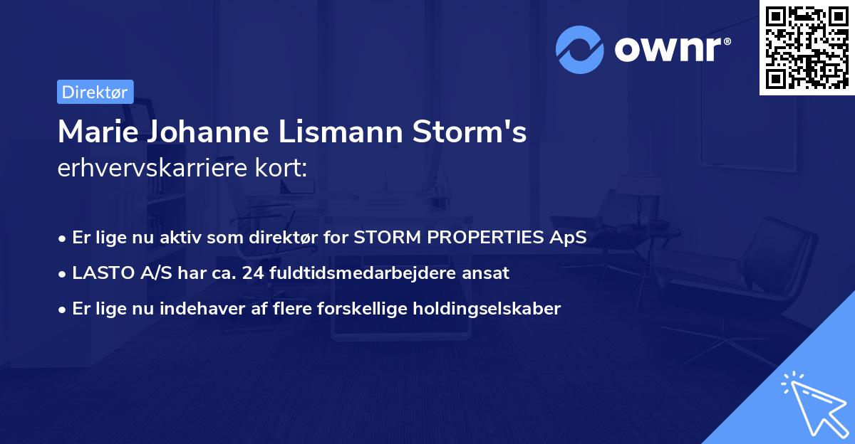 Marie Johanne Lismann Storm's erhvervskarriere kort