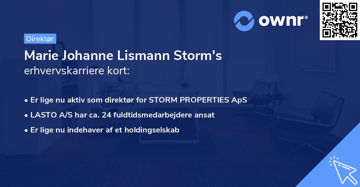 Marie Johanne Lismann Storm's erhvervskarriere kort