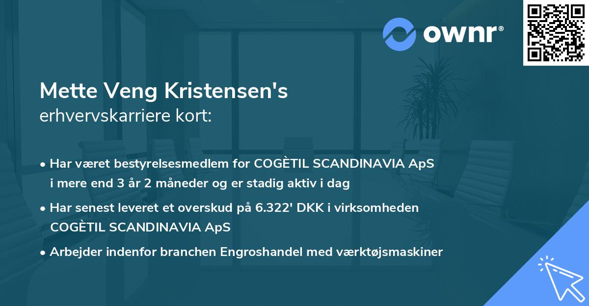 Mette Veng Kristensen's erhvervskarriere kort