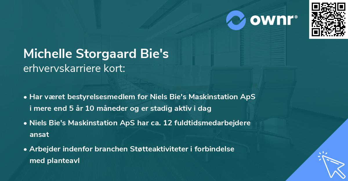 Michelle Storgaard Bie's erhvervskarriere kort