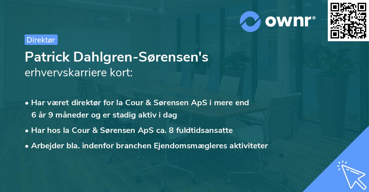 Patrick Dahlgren-Sørensen's erhvervskarriere kort