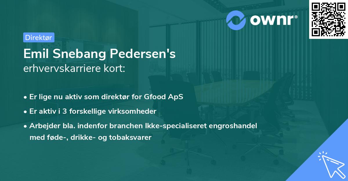 Emil Snebang Pedersen's erhvervskarriere kort