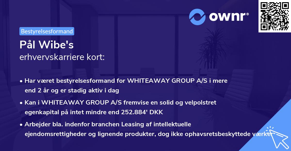 Pål Wibe's erhvervskarriere kort
