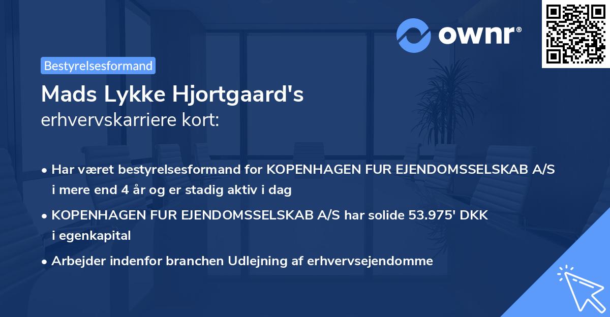 Mads Lykke Hjortgaard's erhvervskarriere kort