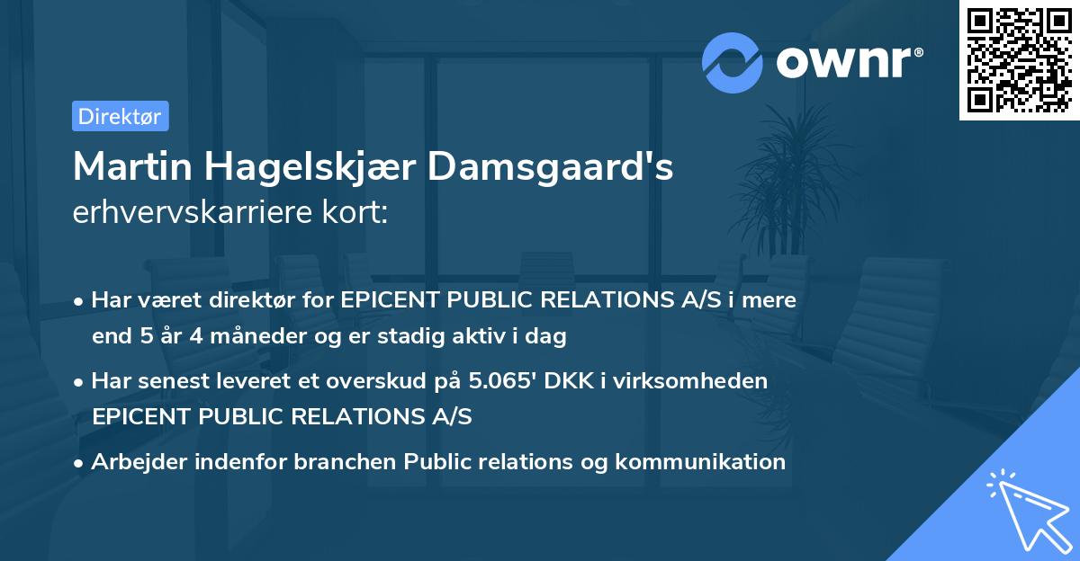 Martin Hagelskjær Damsgaard's erhvervskarriere kort