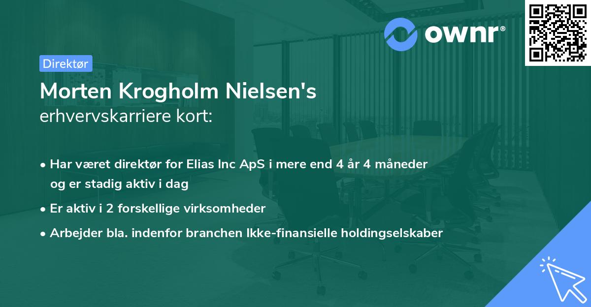 Morten Krogholm Nielsen's erhvervskarriere kort