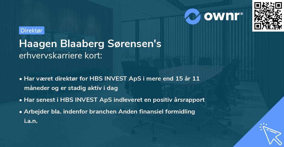 Haagen Blaaberg Sørensen's erhvervskarriere kort