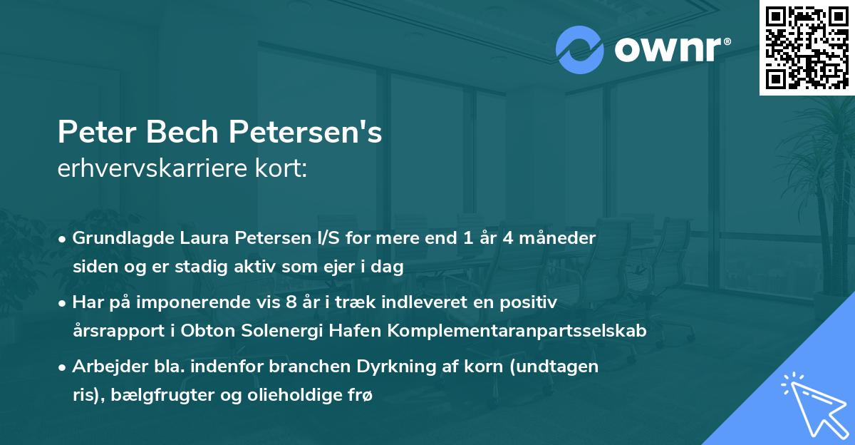 Peter Bech Petersen's erhvervskarriere kort