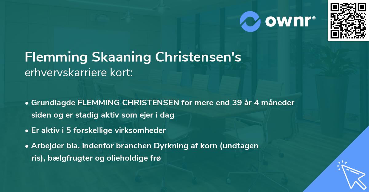 Flemming Skaaning Christensen's erhvervskarriere kort