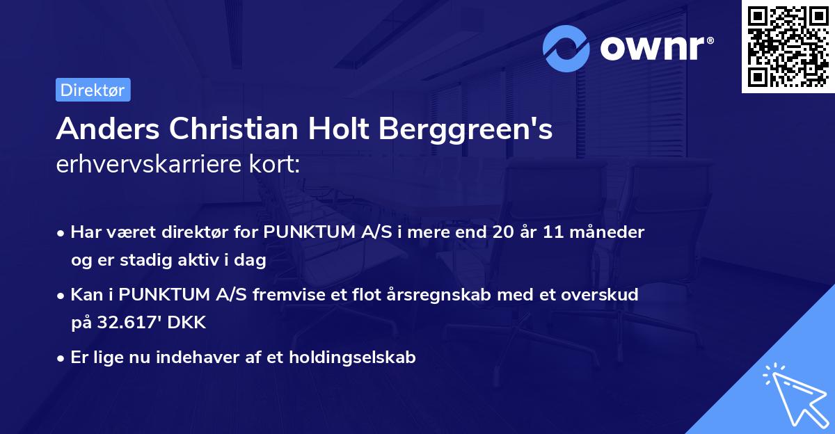 Anders Christian Holt Berggreen's erhvervskarriere kort