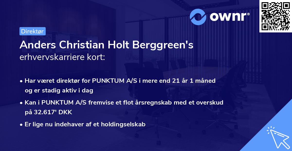 Anders Christian Holt Berggreen's erhvervskarriere kort