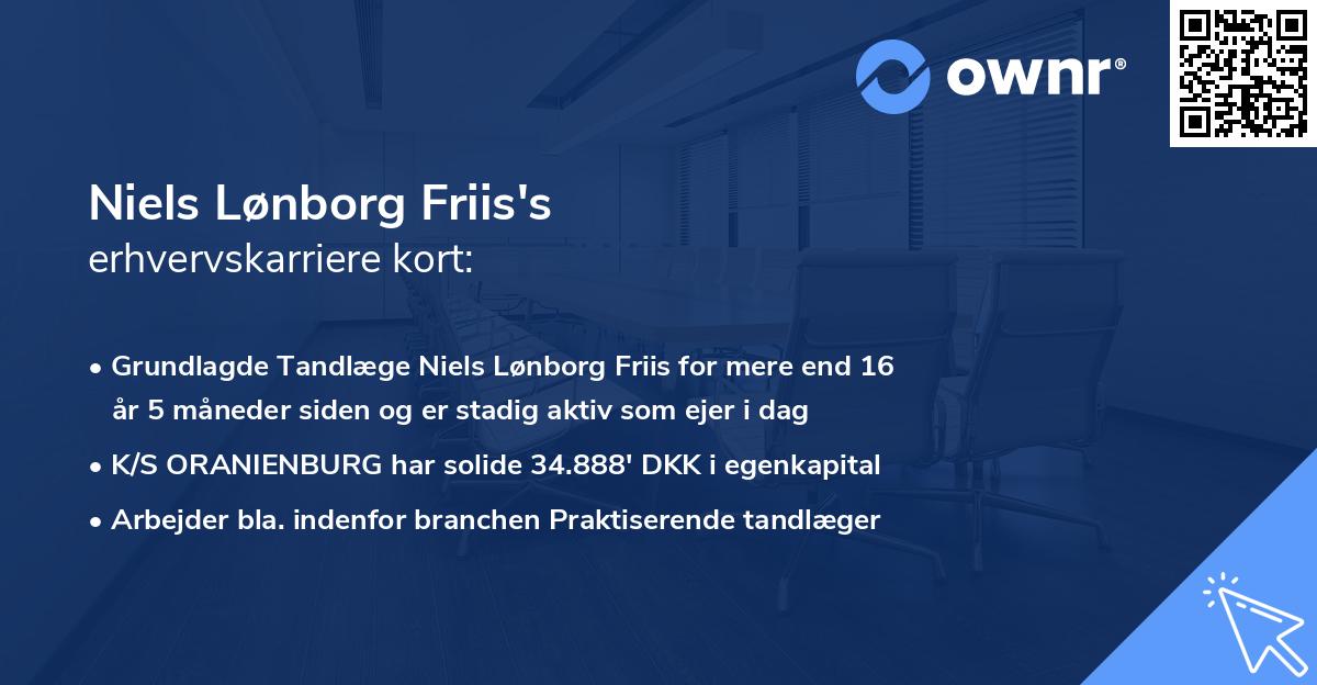 Niels Lønborg Friis's erhvervskarriere kort