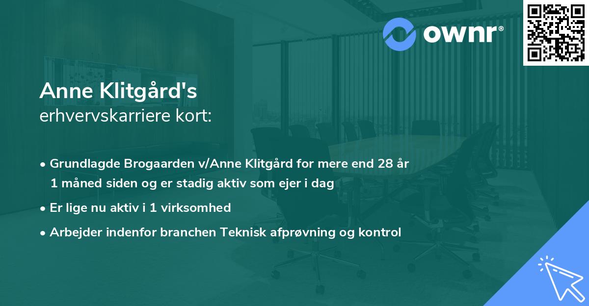 Anne Klitgård's erhvervskarriere kort