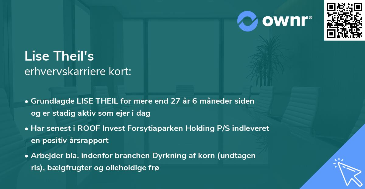 Lise Theil's erhvervskarriere kort