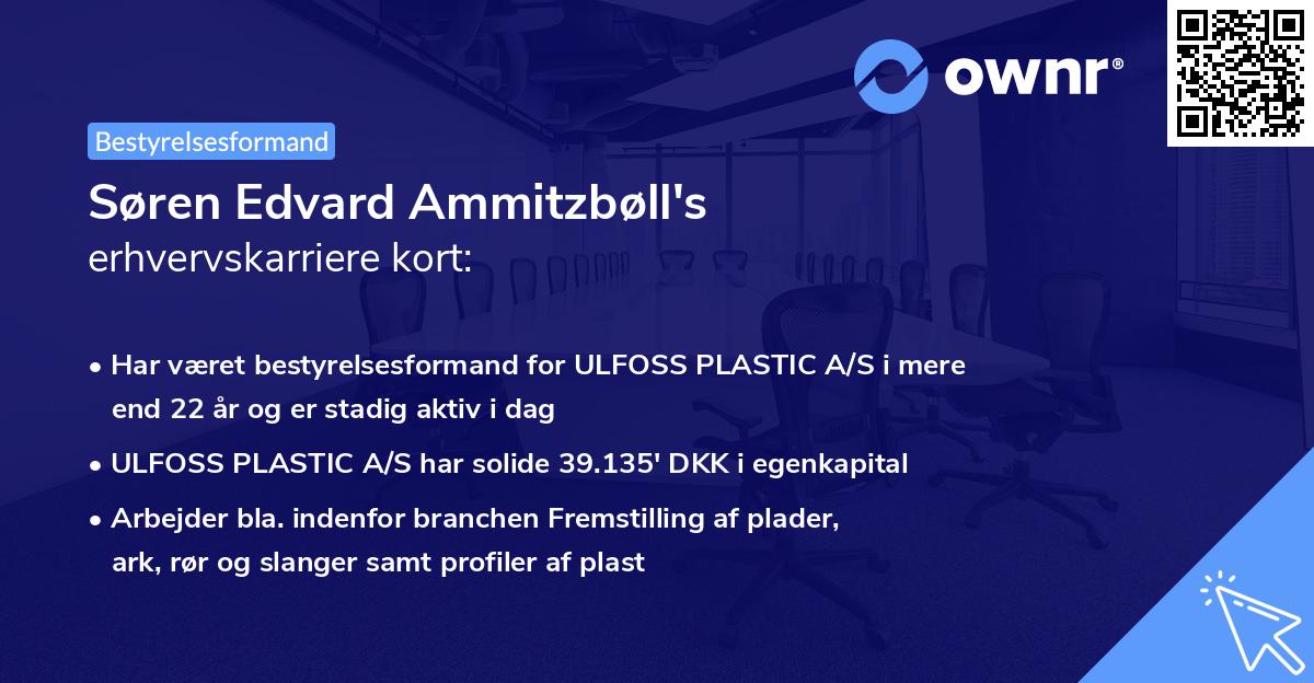 Søren Edvard Ammitzbøll's erhvervskarriere kort