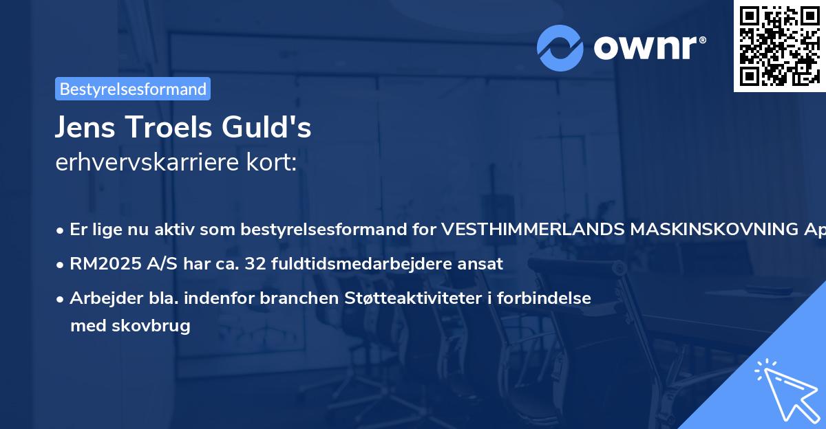 Jens Troels Guld's erhvervskarriere kort