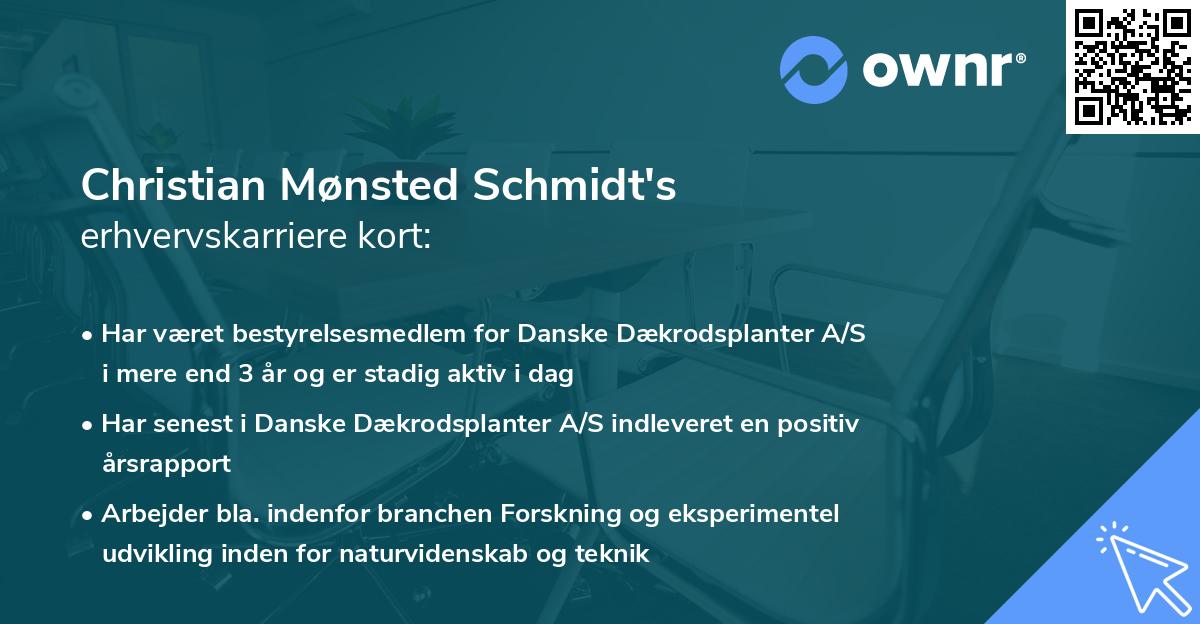 Christian Mønsted Schmidt's erhvervskarriere kort