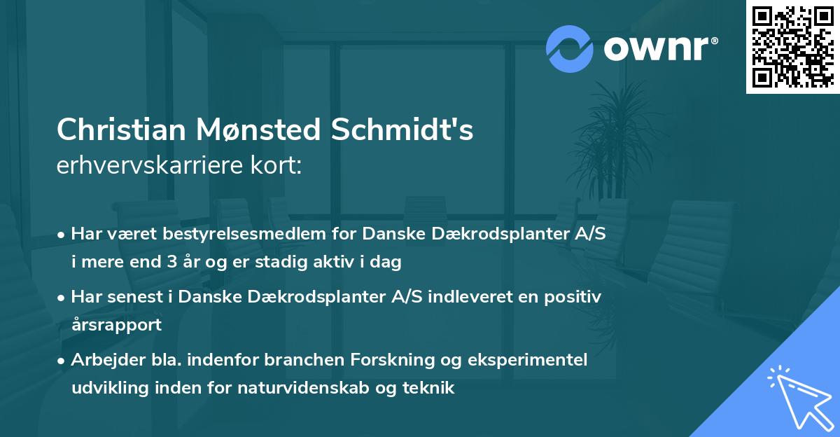 Christian Mønsted Schmidt's erhvervskarriere kort