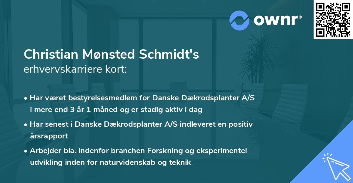 Christian Mønsted Schmidt's erhvervskarriere kort