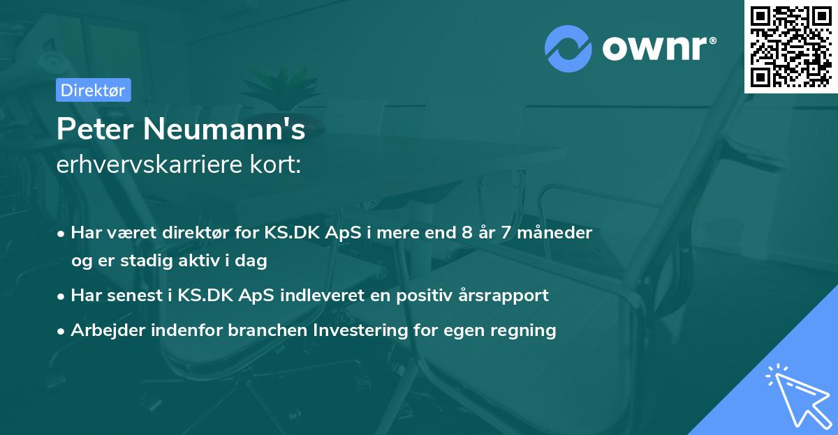 Peter Neumann's erhvervskarriere kort