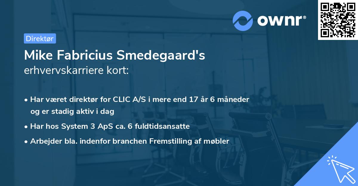 Mike Fabricius Smedegaard's erhvervskarriere kort