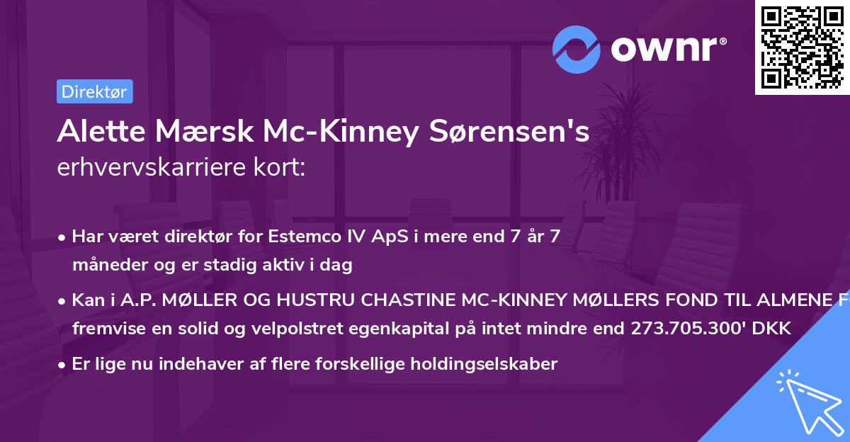 Alette Mærsk Mc-Kinney Sørensen's erhvervskarriere kort