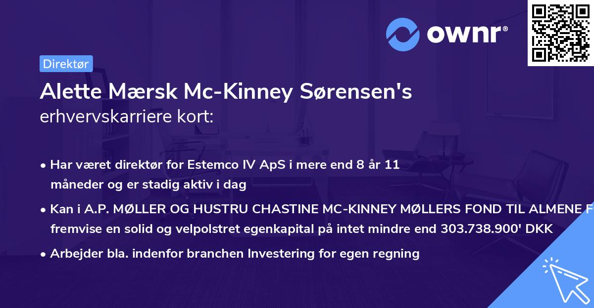 Alette Mærsk Mc-Kinney Sørensen's erhvervskarriere kort