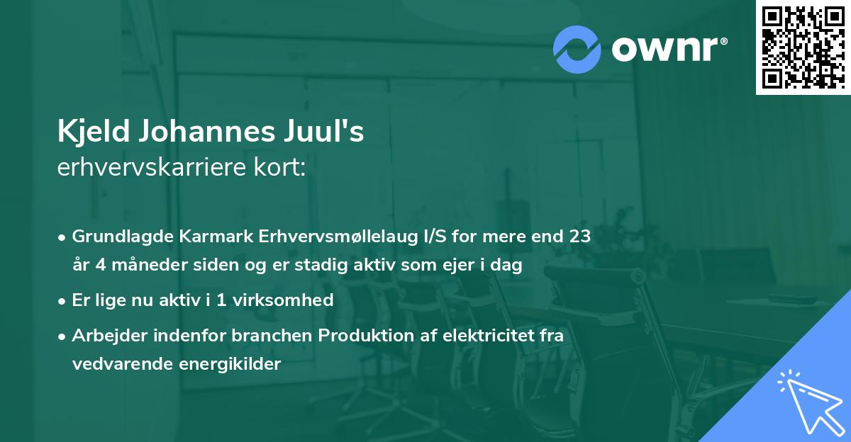 Kjeld Johannes Juul's erhvervskarriere kort