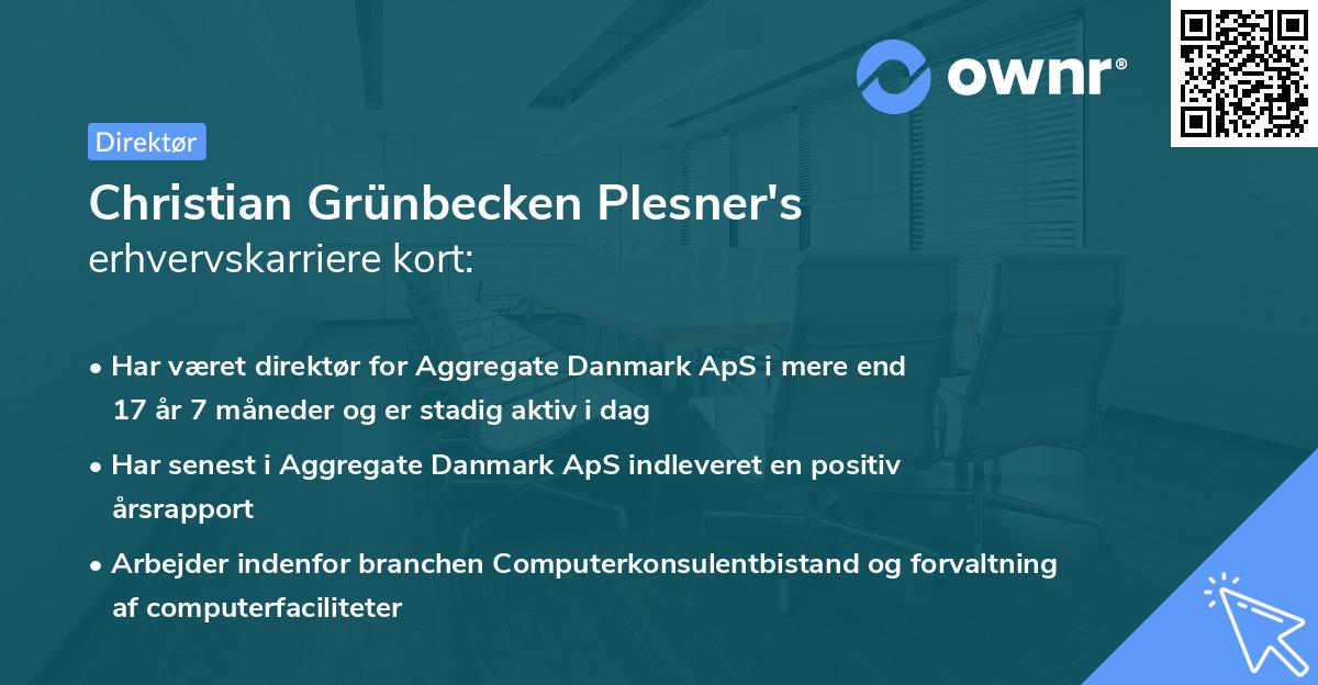 Christian Grünbecken Plesner's erhvervskarriere kort