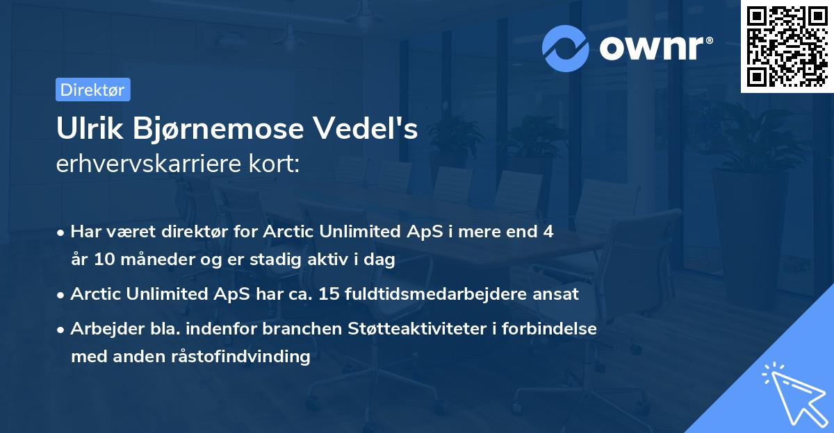 Ulrik Bjørnemose Vedel's erhvervskarriere kort