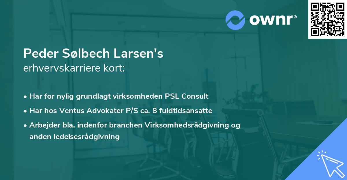Peder Sølbech Larsen's erhvervskarriere kort