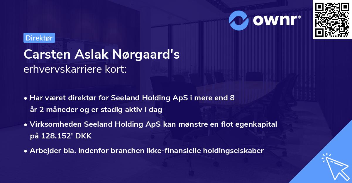 Carsten Aslak Nørgaard's erhvervskarriere kort
