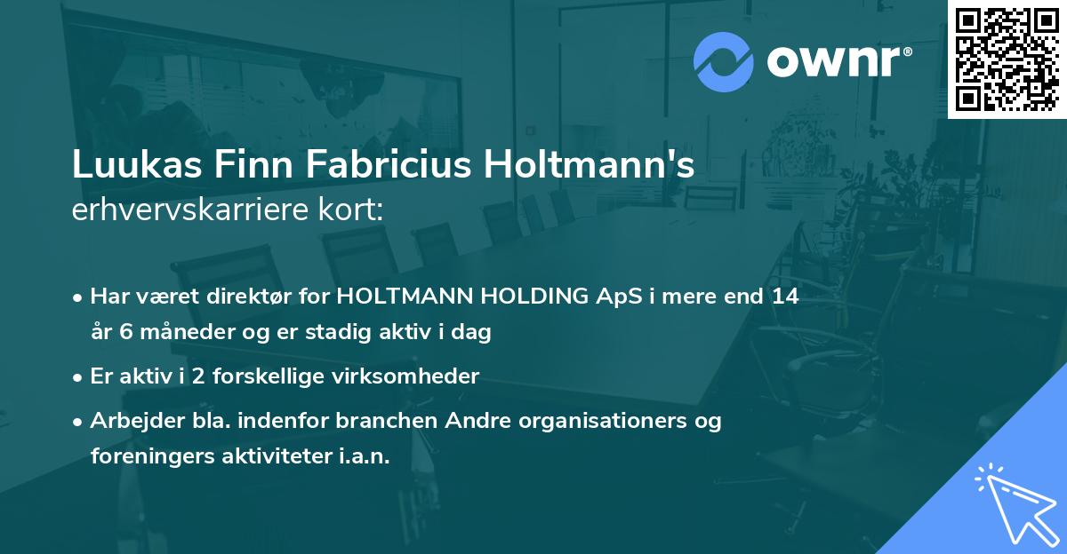 Luukas Finn Fabricius Holtmann's erhvervskarriere kort