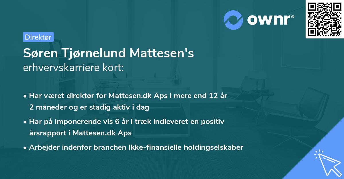 Søren Tjørnelund Mattesen's erhvervskarriere kort