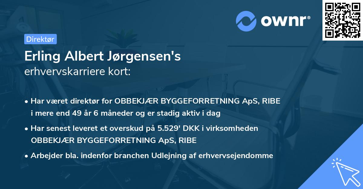 Erling Albert Jørgensen's erhvervskarriere kort