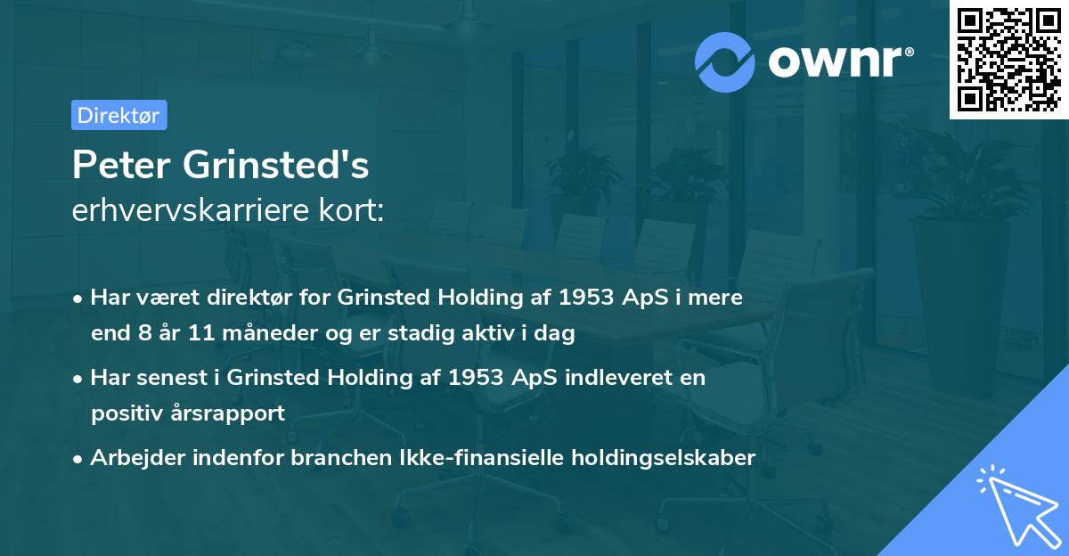 Peter Grinsted's erhvervskarriere kort