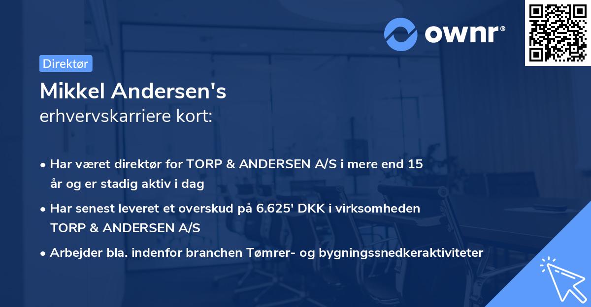 Mikkel Andersen's erhvervskarriere kort