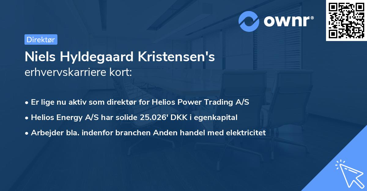 Niels Hyldegaard Kristensen's erhvervskarriere kort