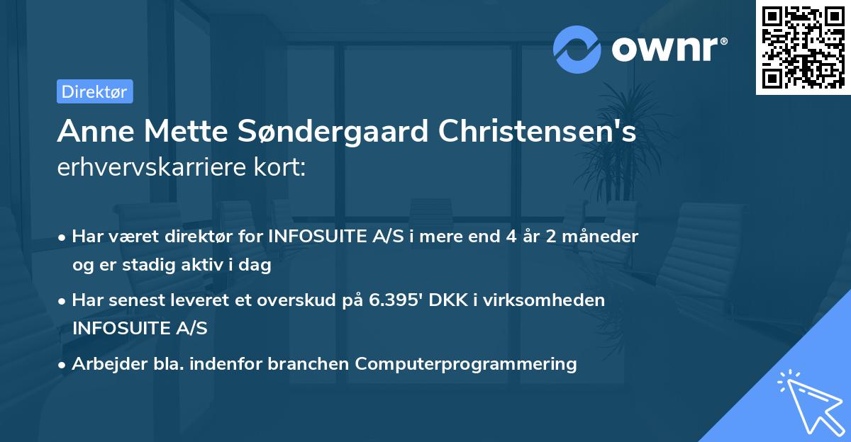 Anne Mette Søndergaard Christensen's erhvervskarriere kort