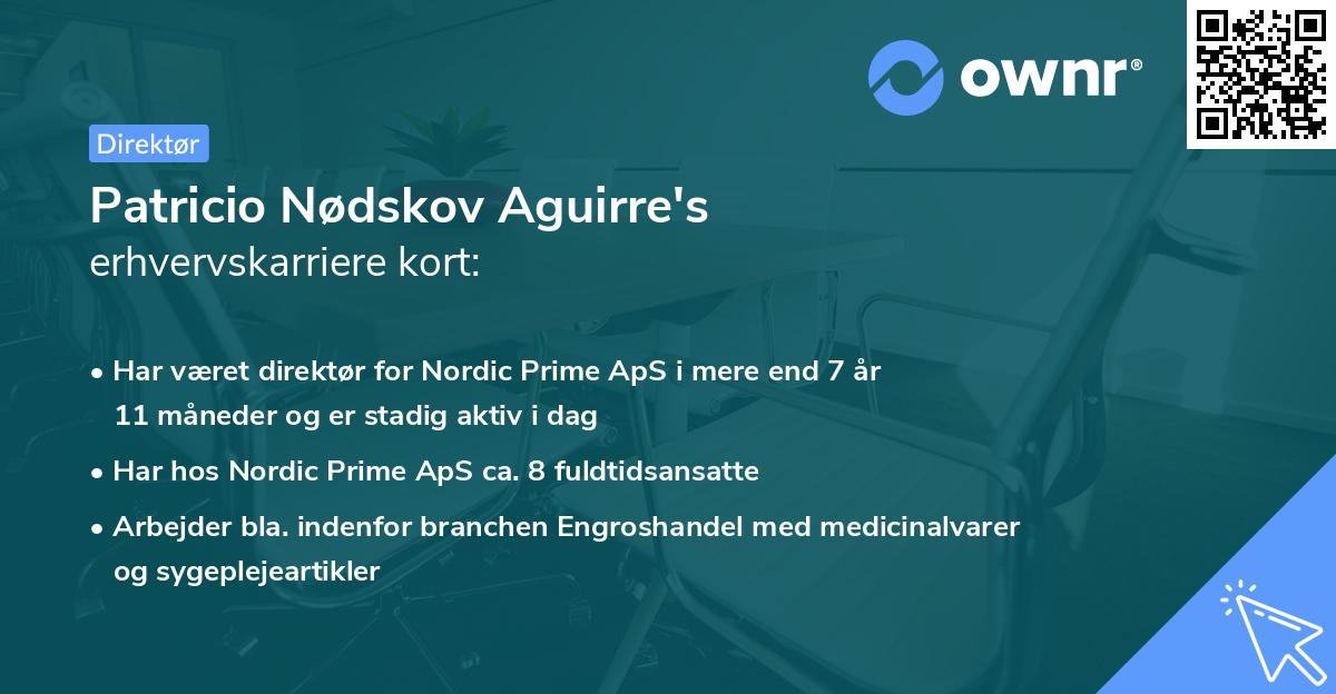 Patricio Nødskov Aguirre's erhvervskarriere kort