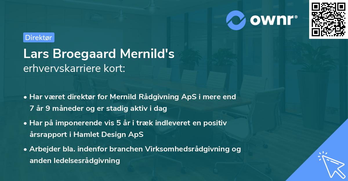 Lars Broegaard Mernild's erhvervskarriere kort